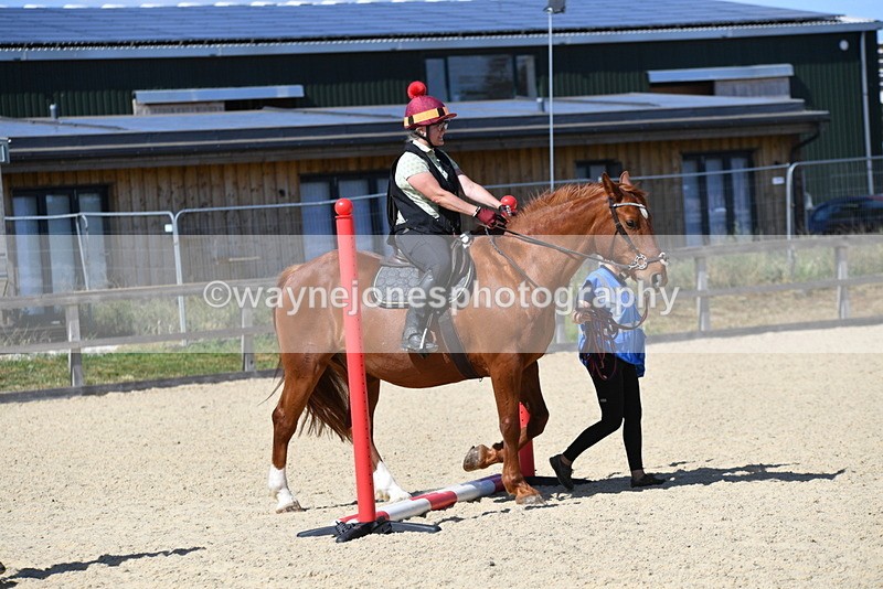 WJ5_4977 - Poles on the Floor