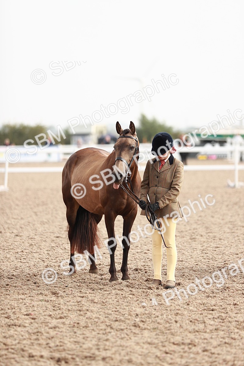 SBM_10563 - Class 204 Young Handler, 11-16 years