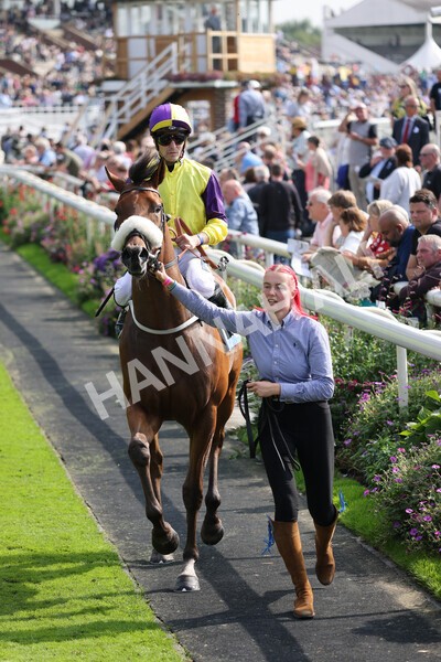 yr05092021r2-11 - Race 2 2.40pm John and Judith Marshall Memorial Stakes
