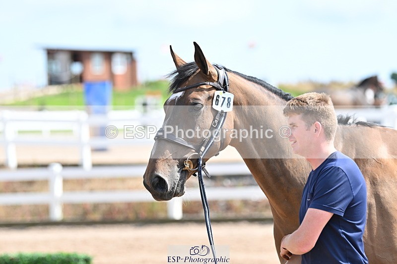 240717A-153551-02905 - Trot Up 3pm to 4pm