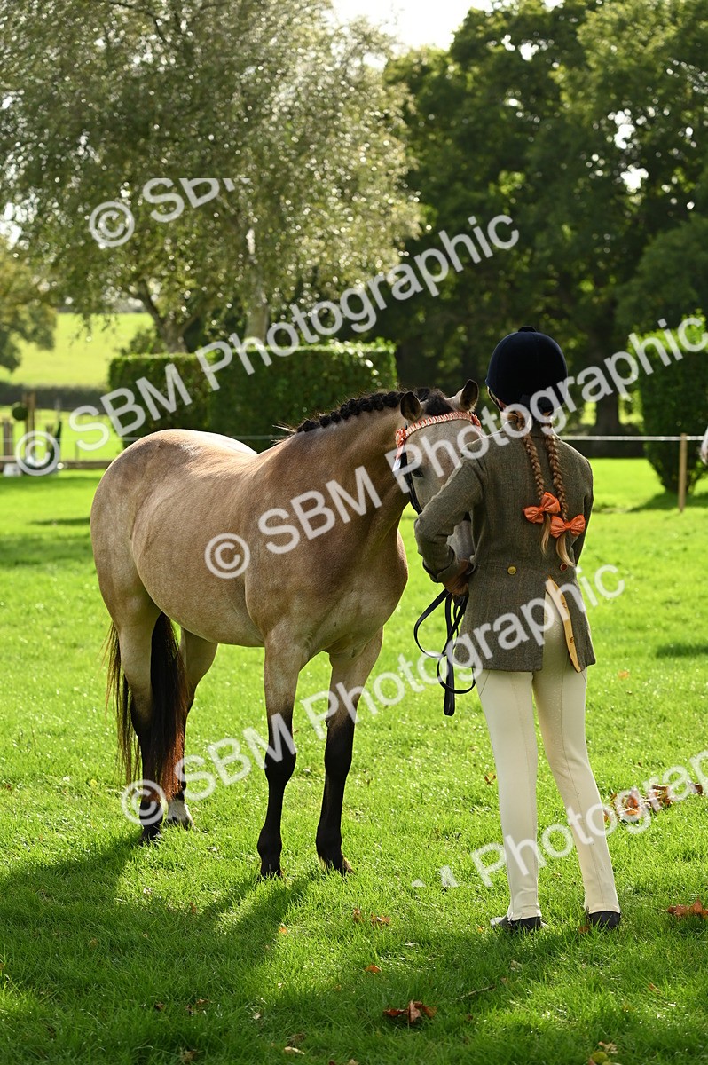 SBM_25035 - S5 - Novice & Newcomer In hand