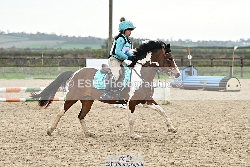 241110-140032-01002 - 60-65cm Arena Eventing