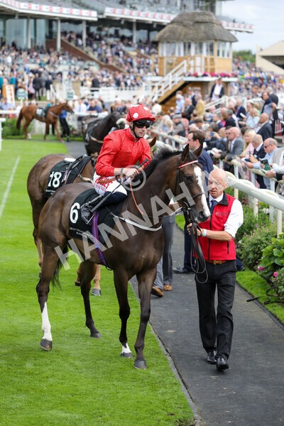 yr17082022r6-2 - Race 6 4.45 pm Celebrate ITM’s 200th IRE Voucher Winner Stakes