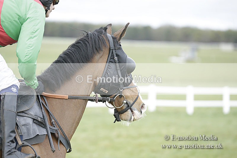 PtP 150320 0558 - New Forest Point-to-Point Larkhill 15/03/20