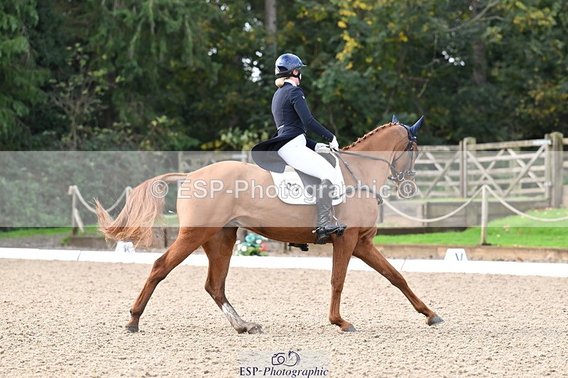 251023A-101754-01484 - B-128-Holly.Law