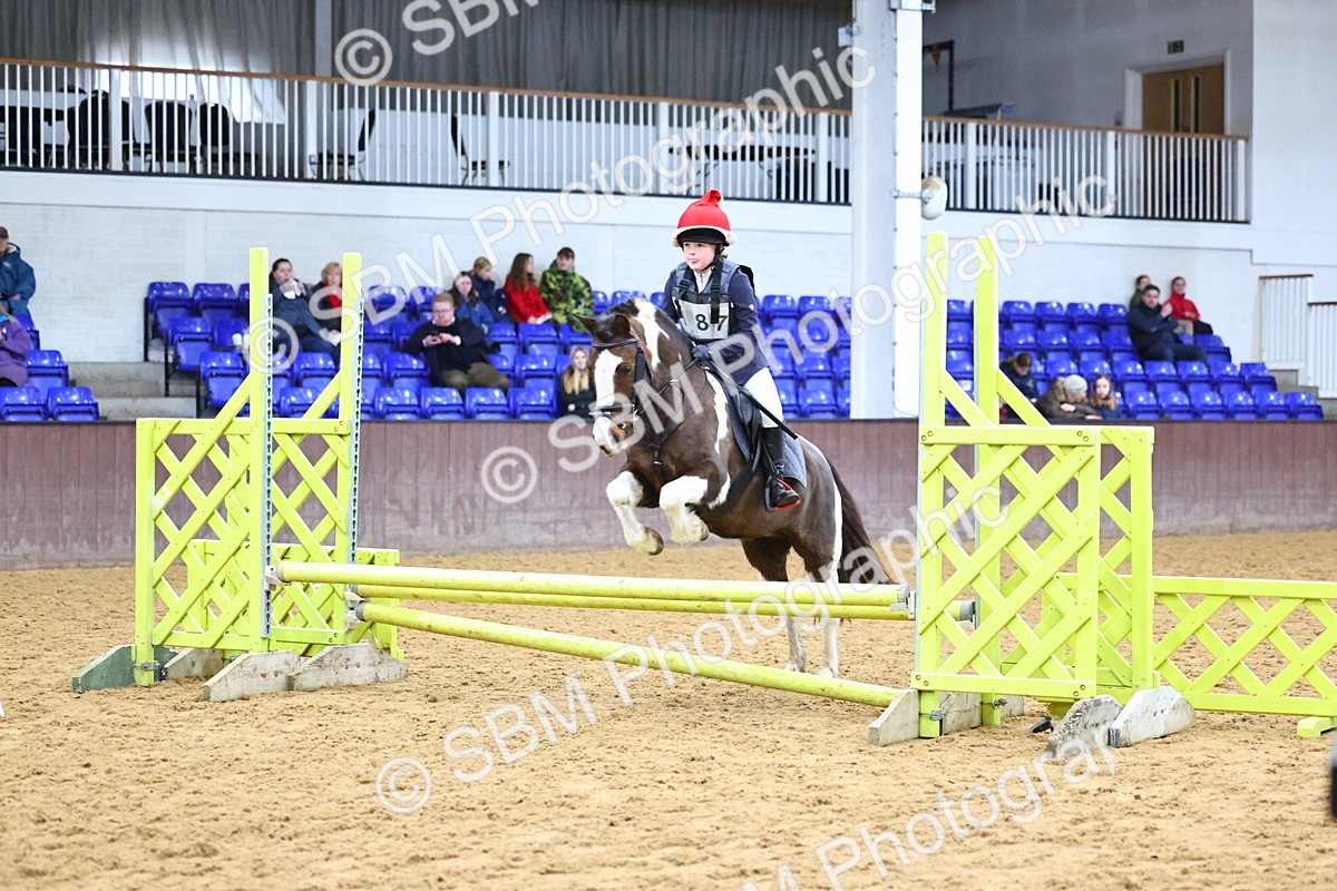 SBM_001224 - Class 3 - Christmas Tree Stakes - 60cm