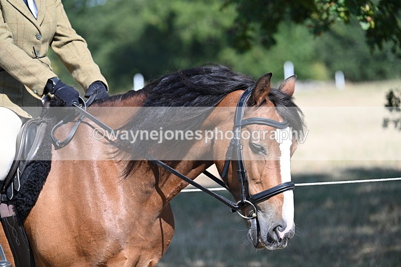 WJ7_3530 - Class 9 Mountain & Moorland Ridden