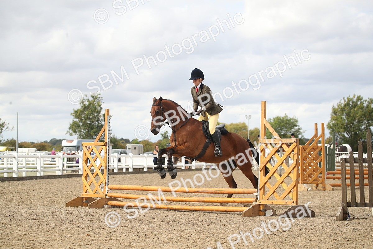 SBM_15208 - Class 506a - Working Veteran - 50cm (15-19)