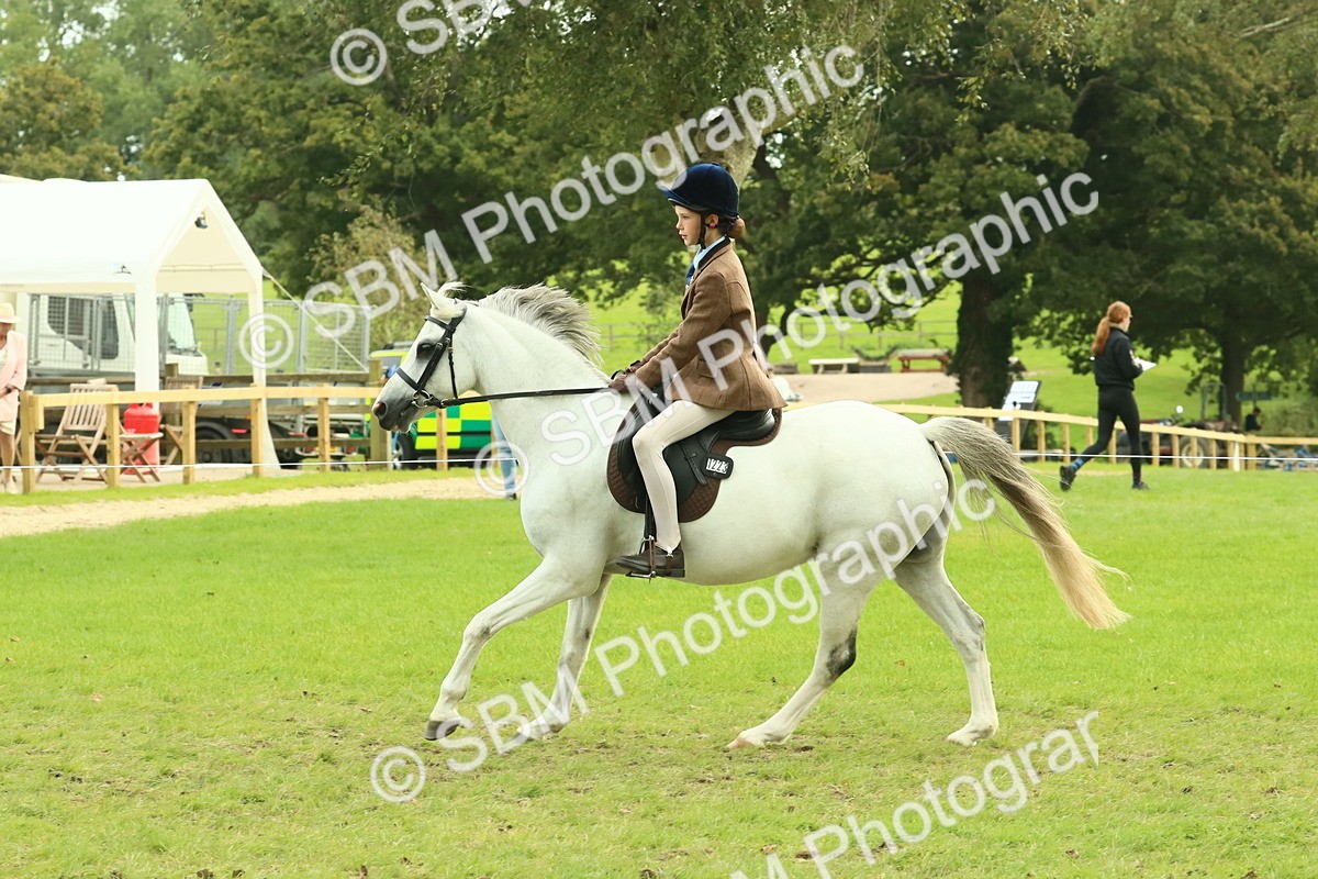 SBM_69924 - S59 - Mountain & Moorland Ridden Small Breeds