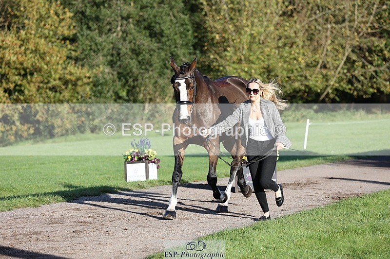 241027-091226-15115 - 351-Grace.Gillard-INDI