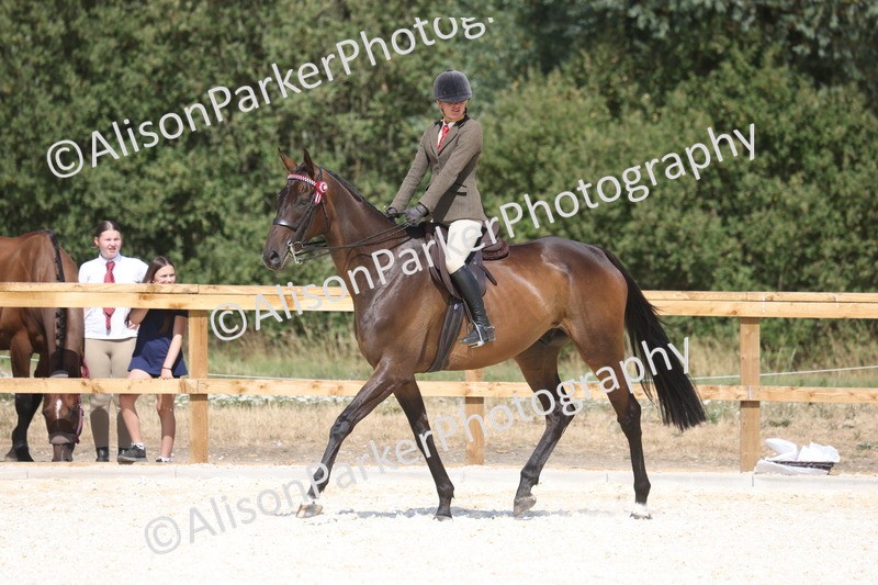 20260802-0732 - Class 8 - Best Riding Horse or Pony