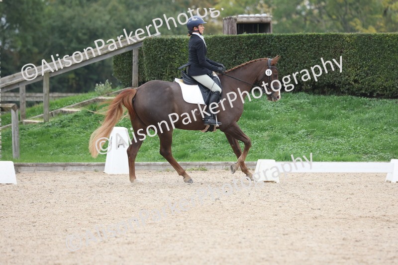 20251011-0377 - Class 4 - Novice 2