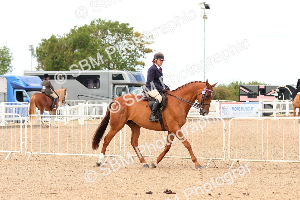 SBM_16229
