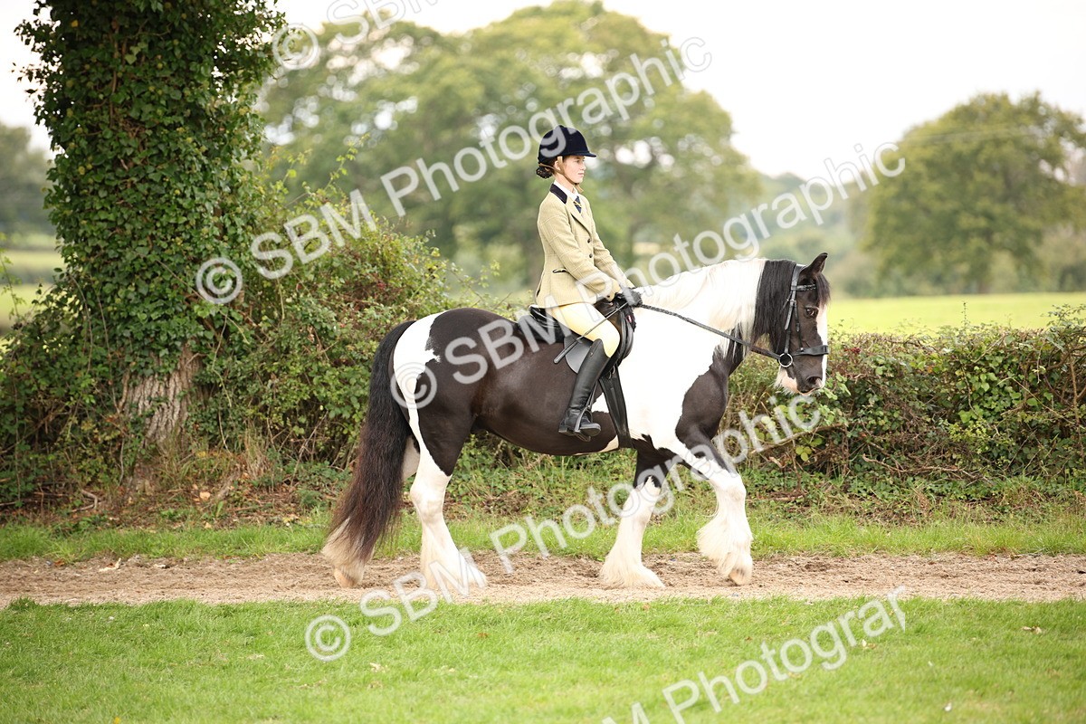 SBM_73413 - S68 - Traditional Cob Ridden