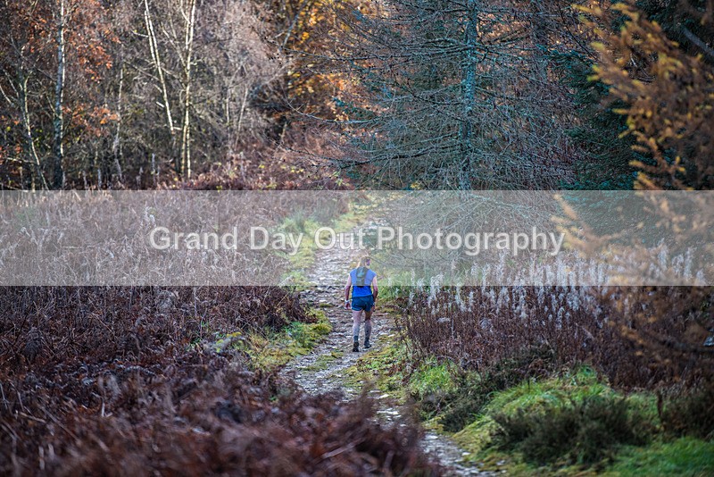 TVU 50  60K-288 - High Terrain Events Tweed Valley 50 & 65K Ultra Trail Races Sunday 19th November 2023