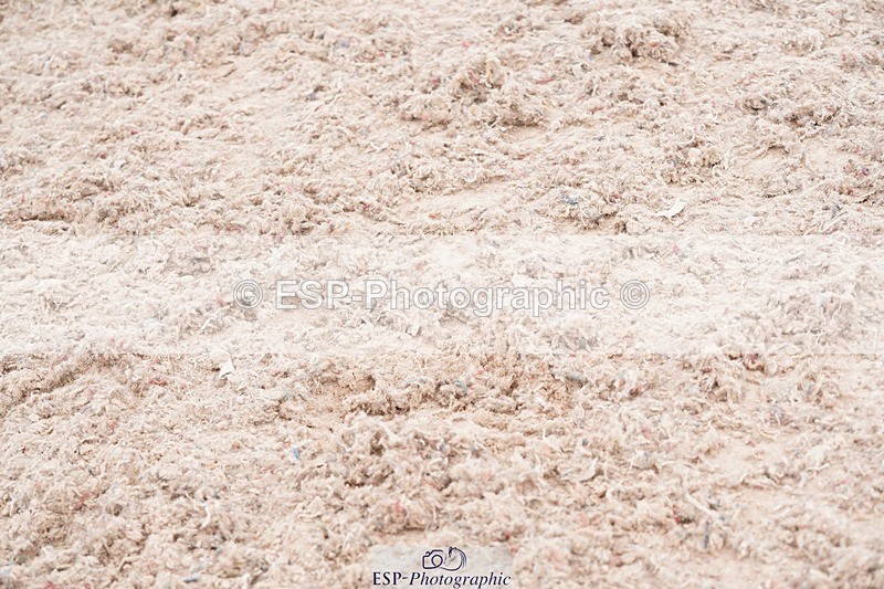 250523-135516-02015 - Cls 04 Snr 1.20m Open