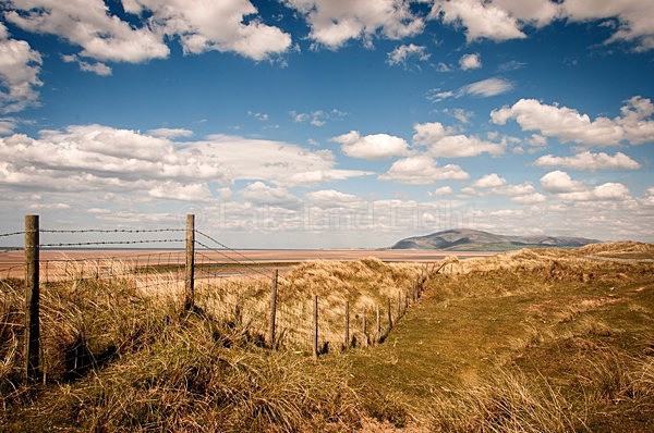 lll0196 - Furness