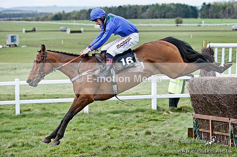 PtP 150320 0702a - Equestrian