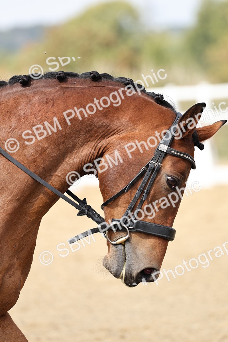 SBM_018727 - Class 16 - Novice 5 - 12.08-13.11