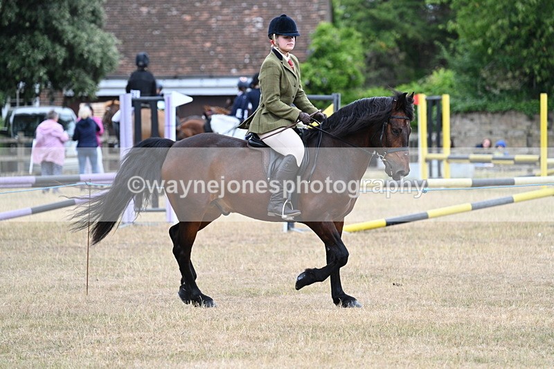 WJ7_0610 - Class 6 Ridden Mountain and Moorland