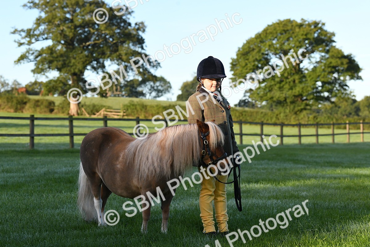SBM_32633 - S15 - Condition & Turnout In Hand