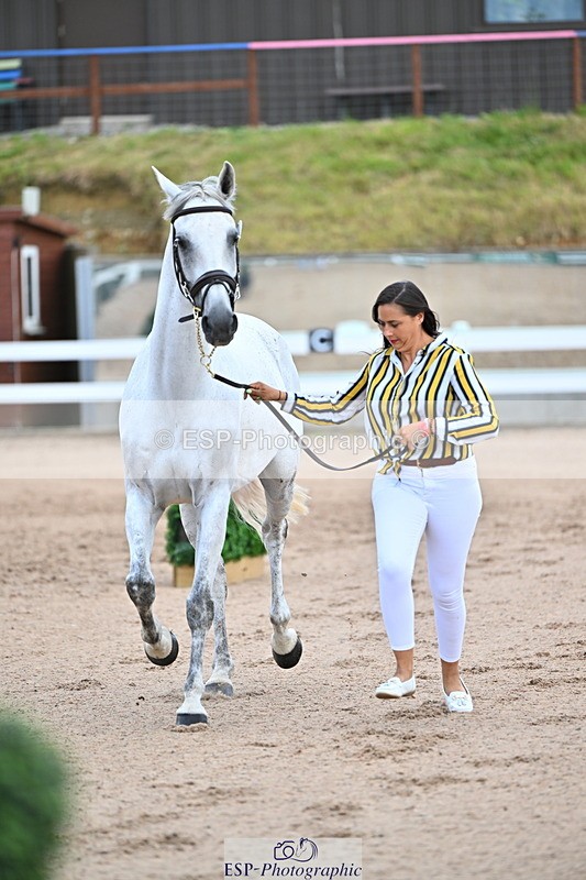 240718A-105324-01967 - Trot Up 2pm to 3pm - This folder is not in time order