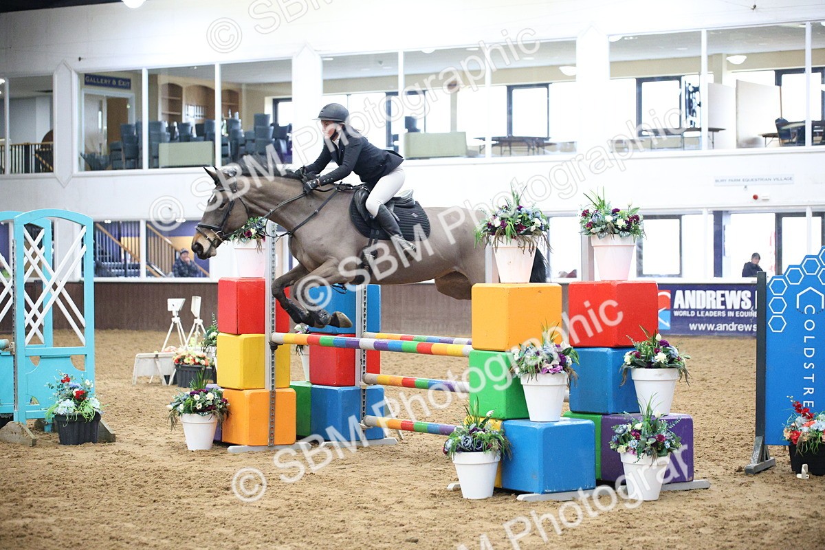 5K7A3962 - Class 2 - Nupafeed Supplements Senior Discovery/ 1m Open