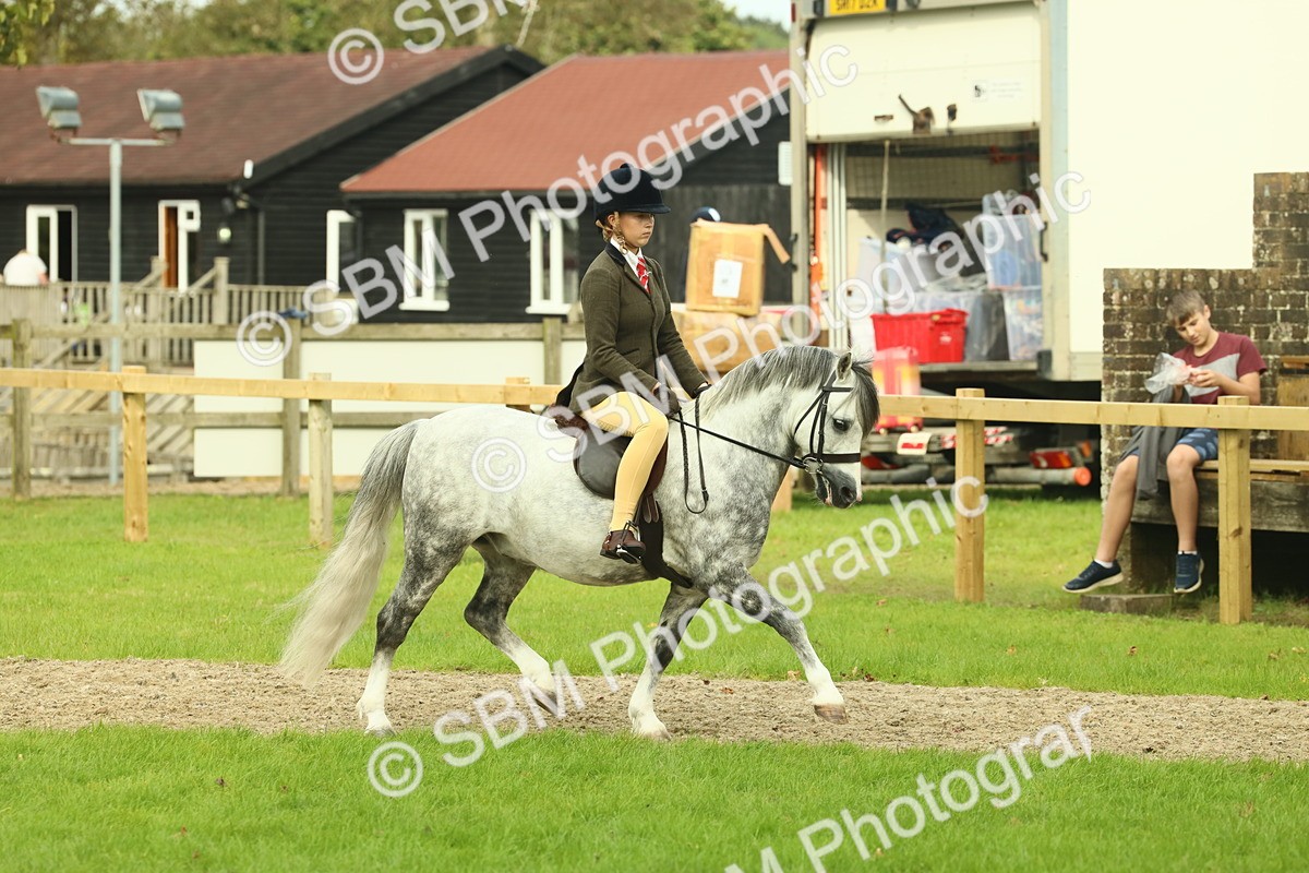 SBM_69851 - S59 - Mountain & Moorland Ridden Small Breeds
