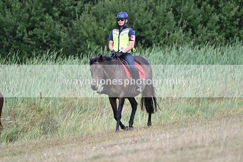 WJ7_5213 - Time 11:22 to 11:41