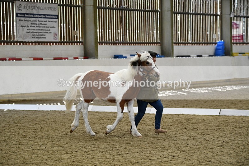 WJ5_4946 - Class 7 In hand coloured / odd coloured