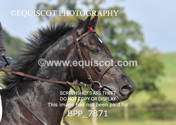 BPP_7871 - CLASS 3 Senior BritiNovice/ 90cm Open