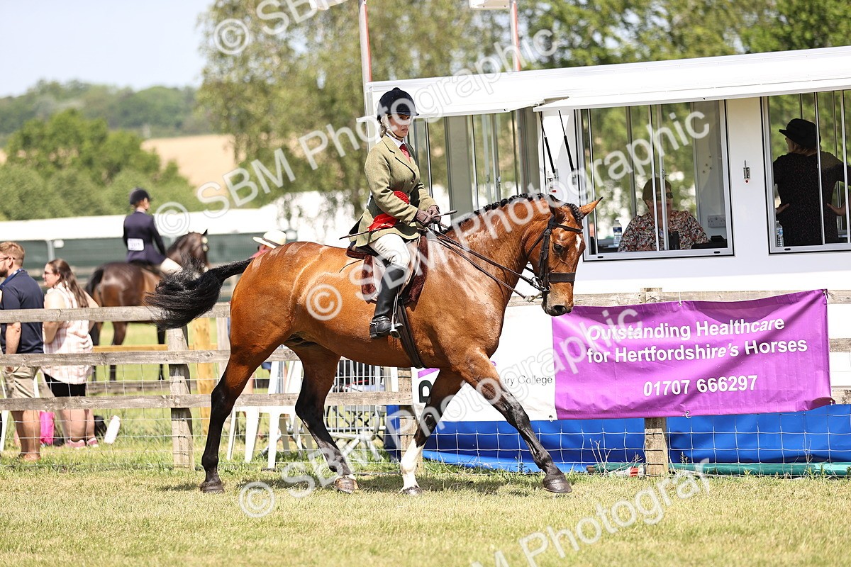 SBM_16214 - Class 79-80 - LIHS BSHA Rising Star Ridden Hunter
