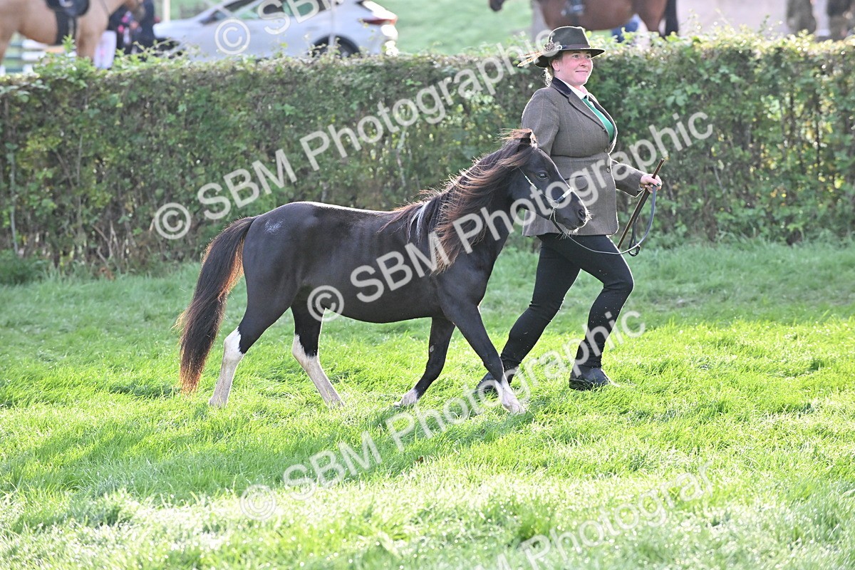 SBM_55302 - S44 - Youngstock In Hand