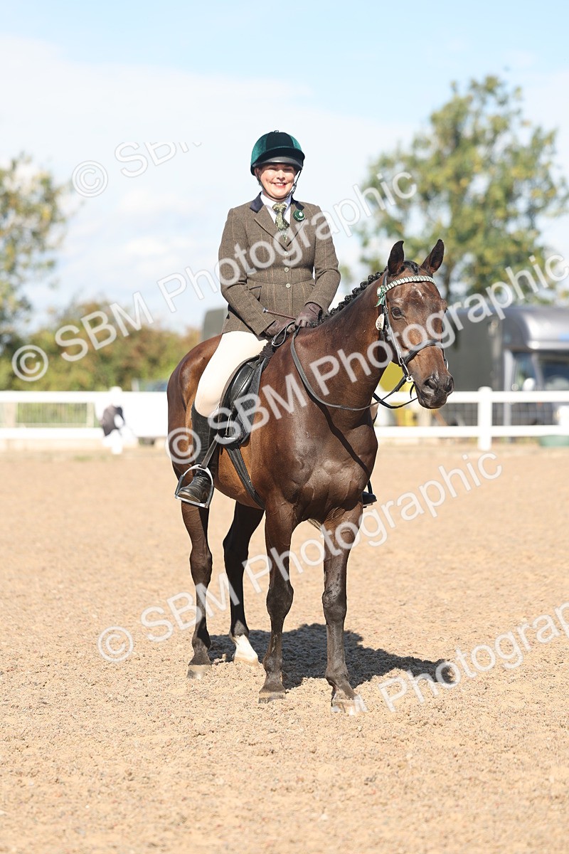 SBM_13116 - Class 305 - Ridden Foreign Breed Pure Bred