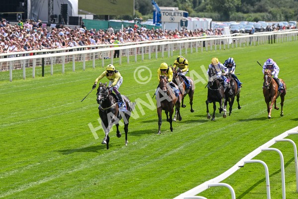 260725-Race 3-Royal Champion-7413 - Race 3 2.40pm Sky Bet York Stakes