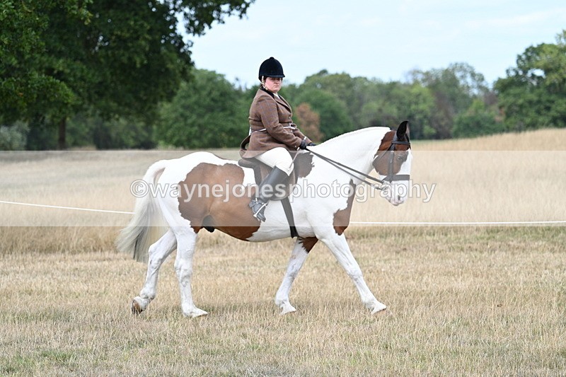 WJ7_4654 - Class 12 Ridden Cob