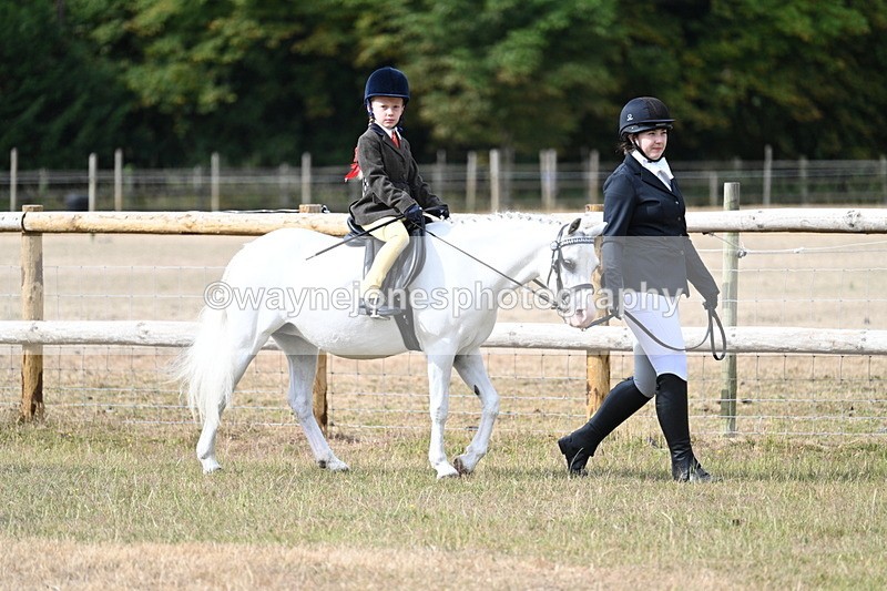 WJ7_6405 - Class 1 Lead Rein Pony