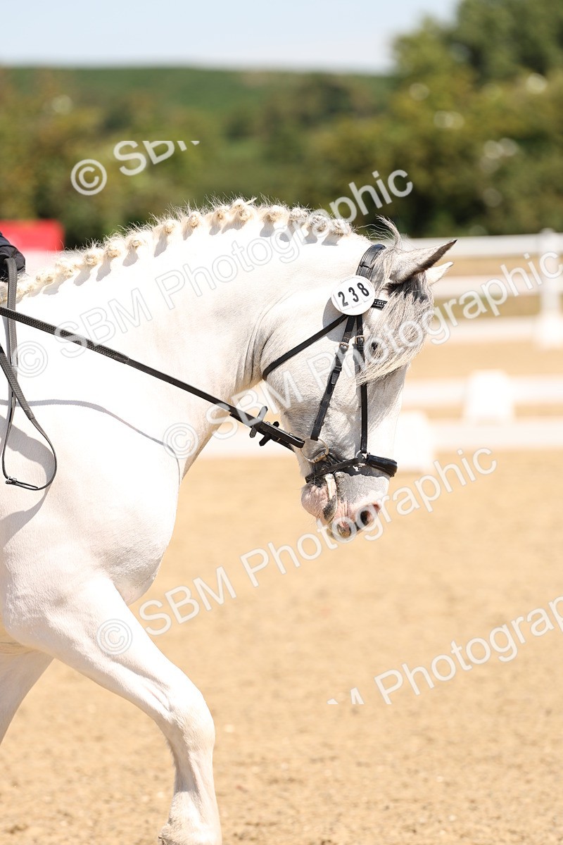 SBM_001318 - Intro 2