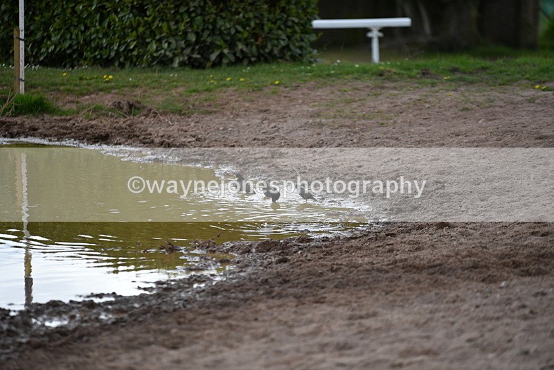 WJ5_3615 - Time 14:19 to 14:53