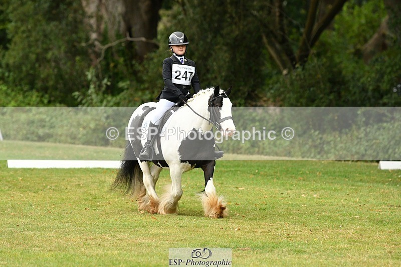 250820A-122537-05594 - 12 to 13.00