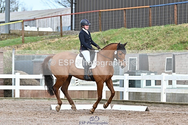250125-133245-00643 - Dressage - CT Class 7 BE Novice 112