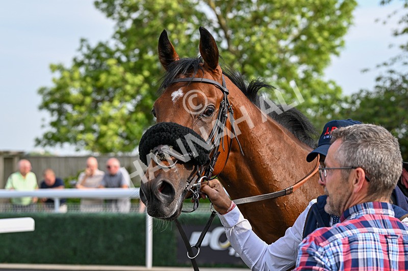 170625-Race 1-Command The Stars-5684 - Race 1