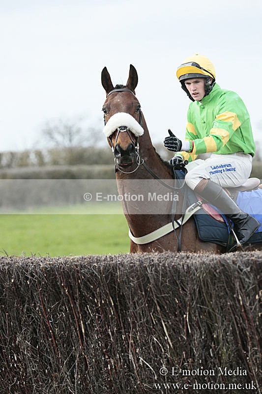 PtP 230319 224 - VWH Hunt Siddington Point-to-Point Racing 23/03/19