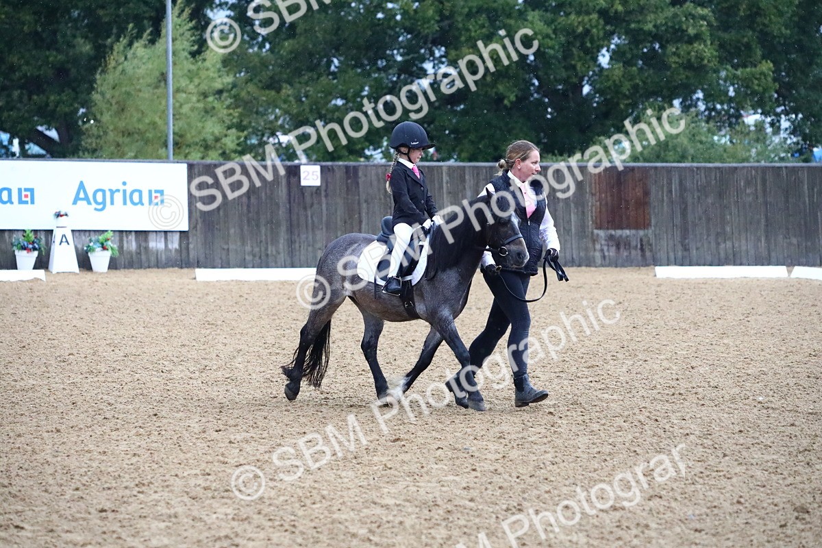SBM_34634 - D26 - Starters Lead Rein