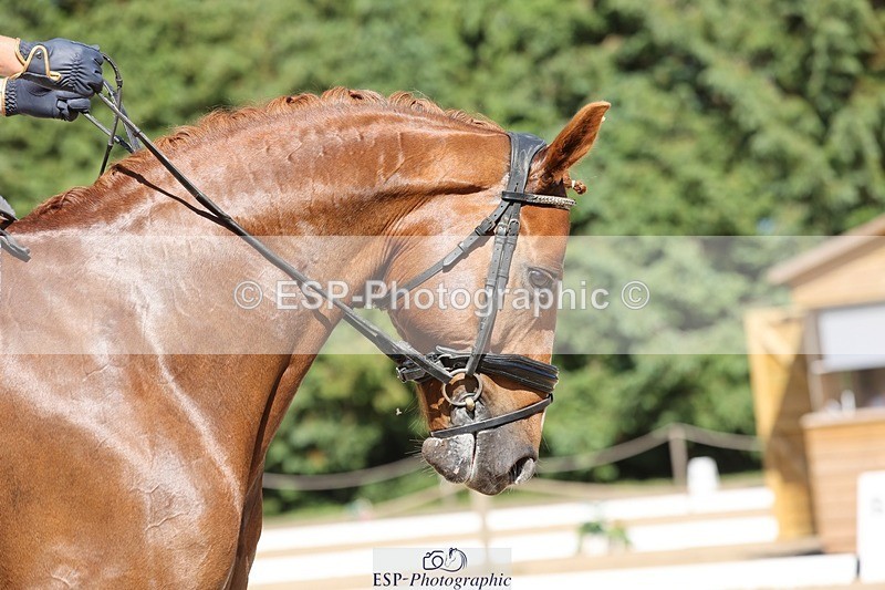 240719-161238-03066 - 191-Verity_Perry-Bianchi