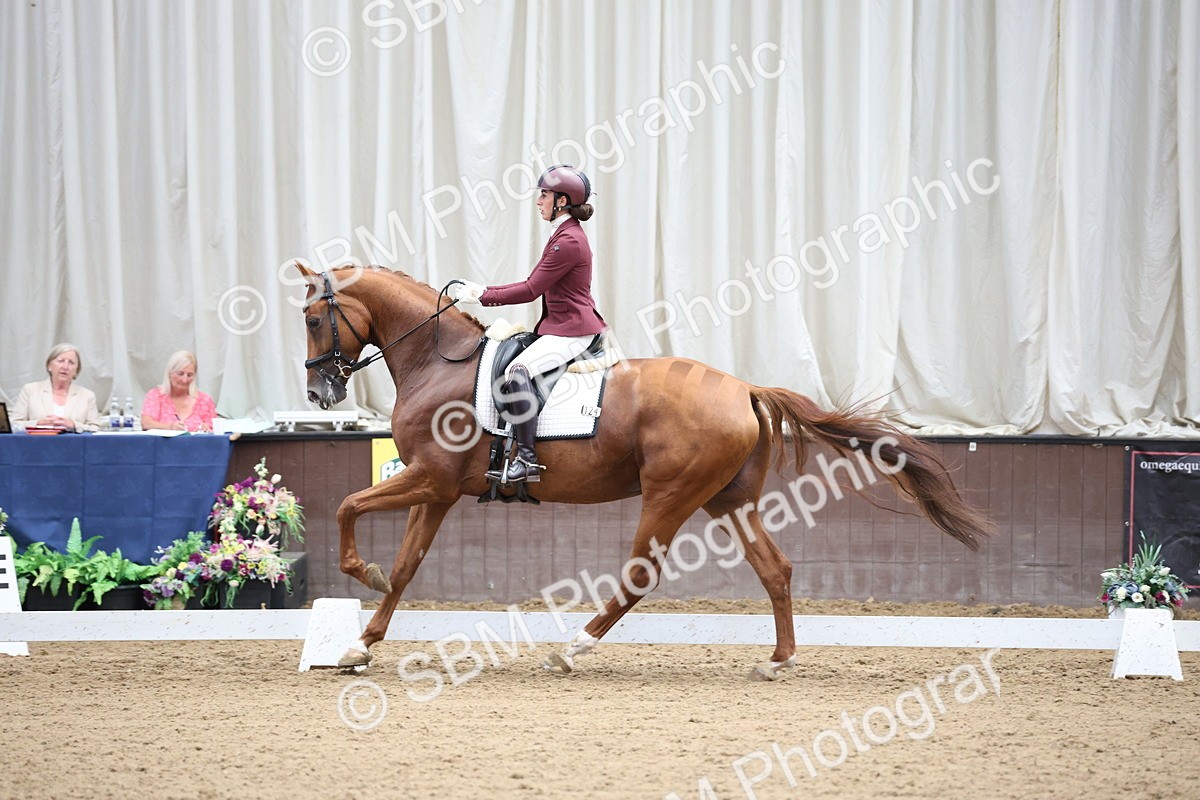 SBM_003454 - Class 5 - Novice 6 Gold - 13.05-14.00