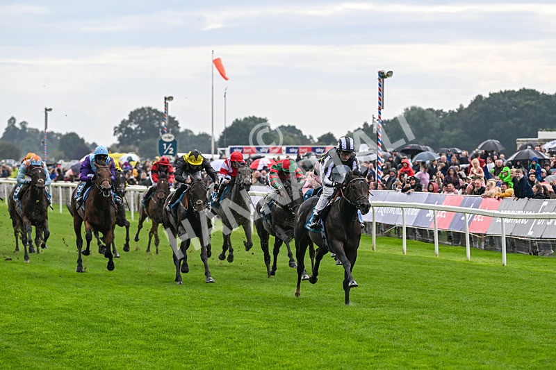 060926-Race 1-Mezzo Forte-6817 - Race 1 1.30pm Irish Thoroughbred Marketing 'Confined' EBF Maiden Stakes