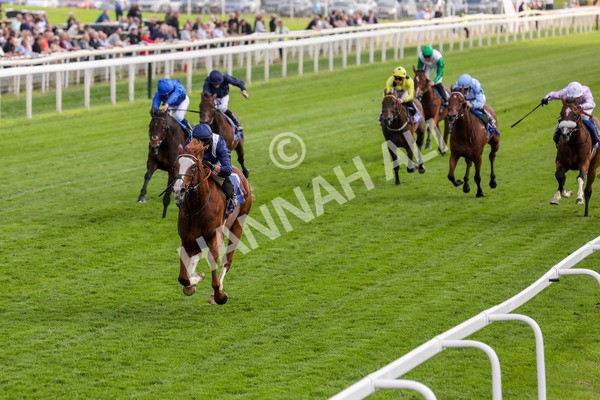 160524-Race 4-Economics-1867 - Race 4 3.45pm Al Basti Equiworld Dubai Dante Stakes