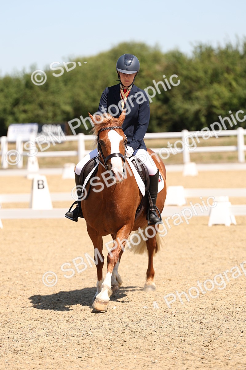 SBM_001263 - Intro 2