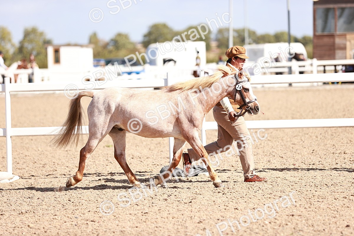 SBM_22887 - Class 706 - IH Veteran